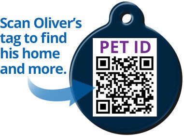 Pet tag QR code